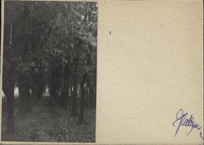 park krajobrazowy, skan 2