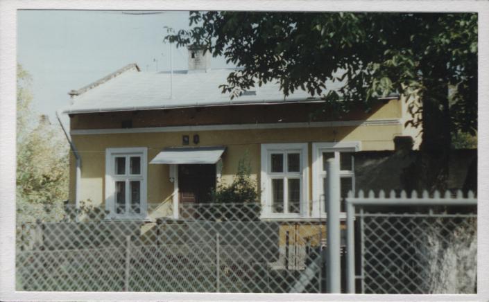 dom, skan 2