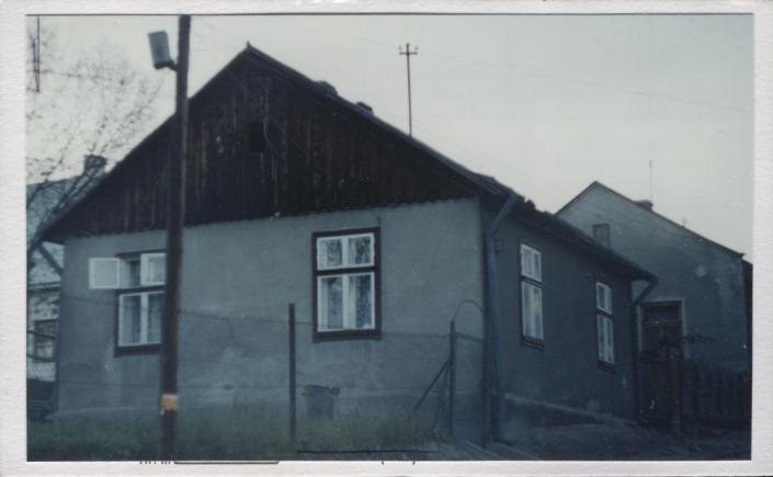 dom, skan 2