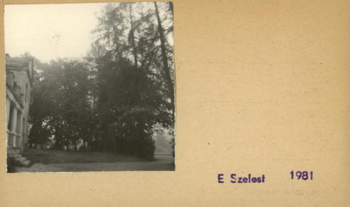 park, skan 2