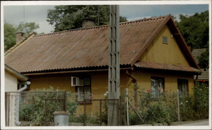 dom, skan 2