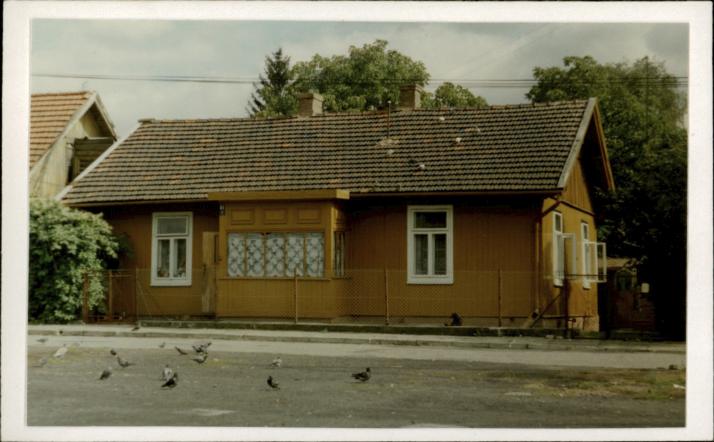 dom, skan 2