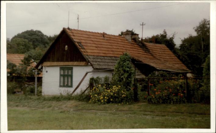 dom, skan 2