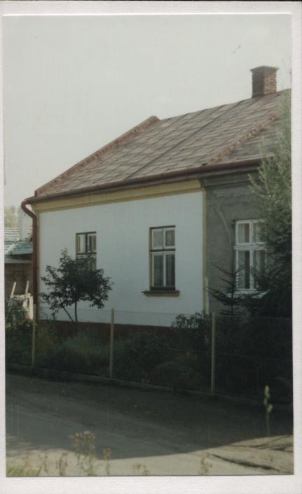 dom, skan 2