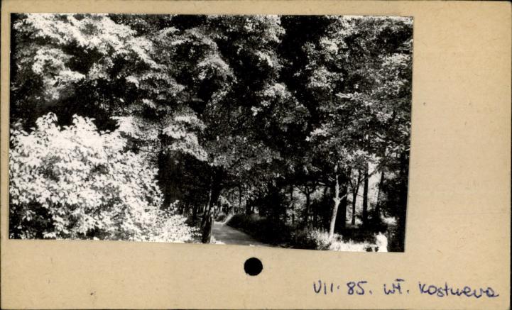 park dworski, skan 2