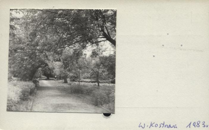 park pałacowy Buckholtza, skan 2