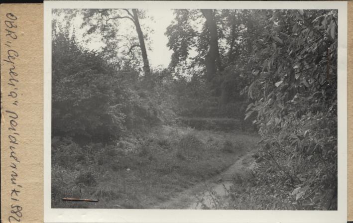 park dworski, skan 2