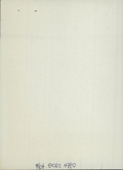 aleja lipowa cmentarza poewangel., skan 2