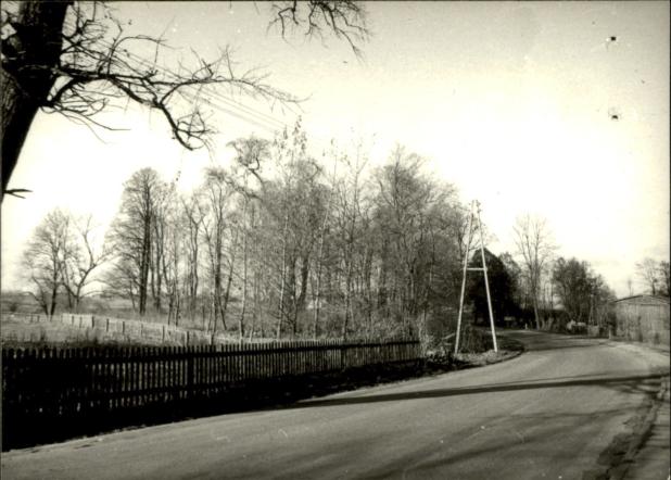 park dworski, skan 3