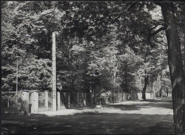 park szpitalny, skan 3