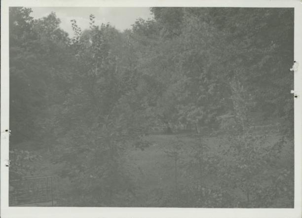 park komunalny, skan 3