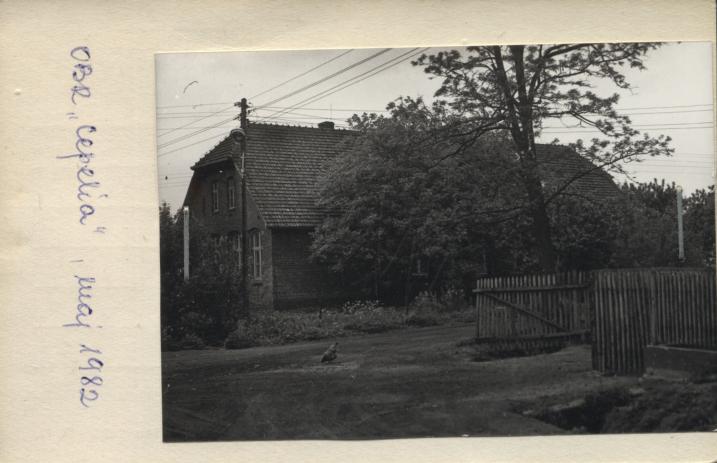 szkoła, skan 2
