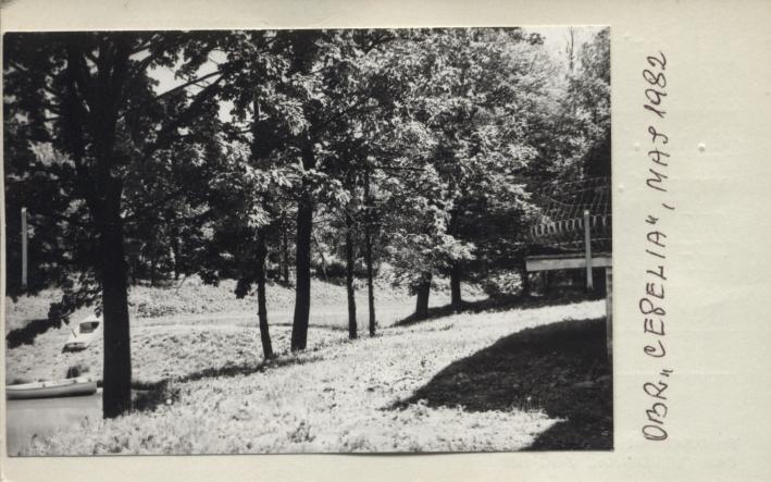 park dworski, skan 2