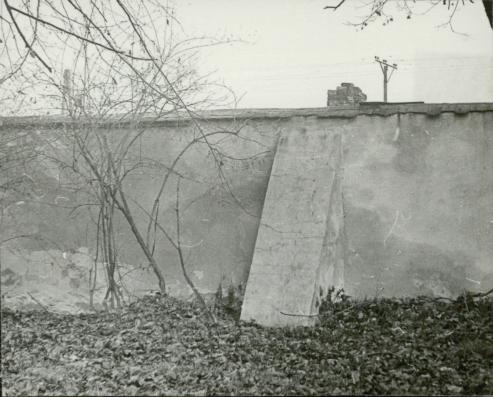park pałacowy z pozost. założ. obronneg., skan 2