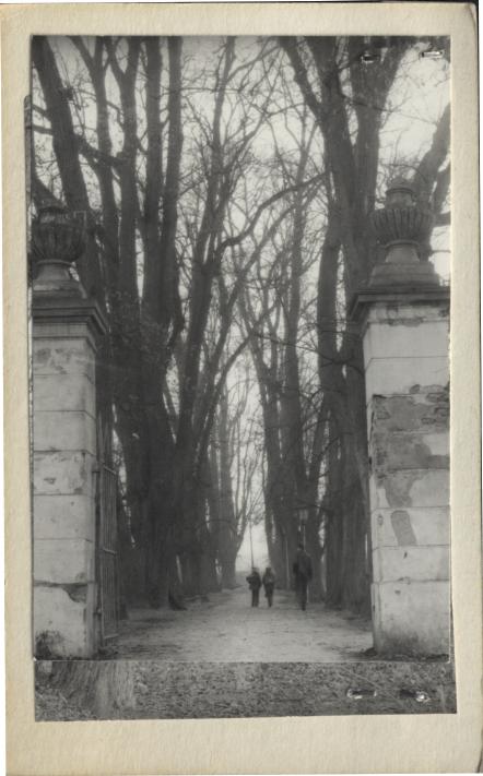 park pałacowy geometryczny, skan 3