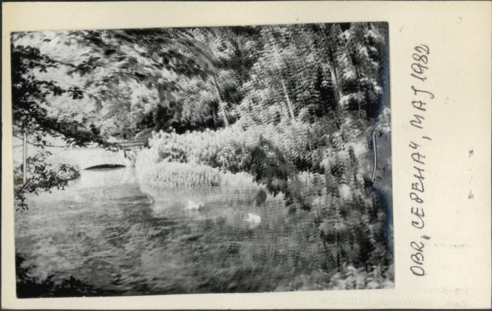 park krajobrazowy przy pałacu Potockich, skan 3