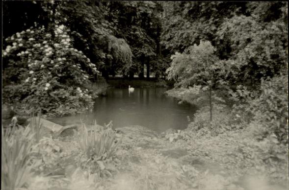 park w zespole zamkowym, skan 2