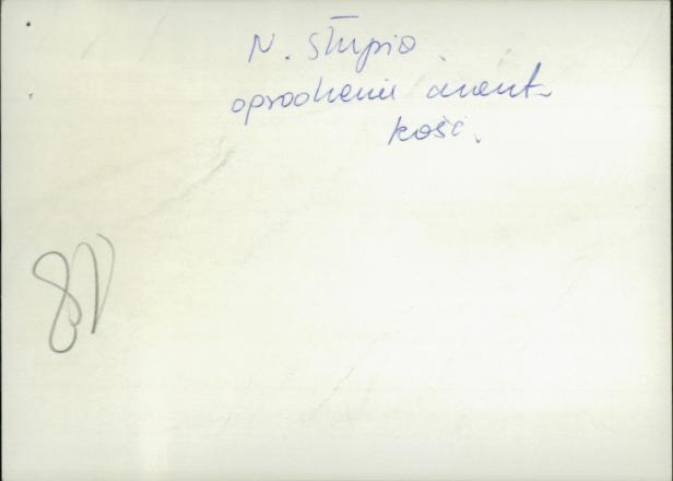 brama na cmentarz przykościelny, skan 4