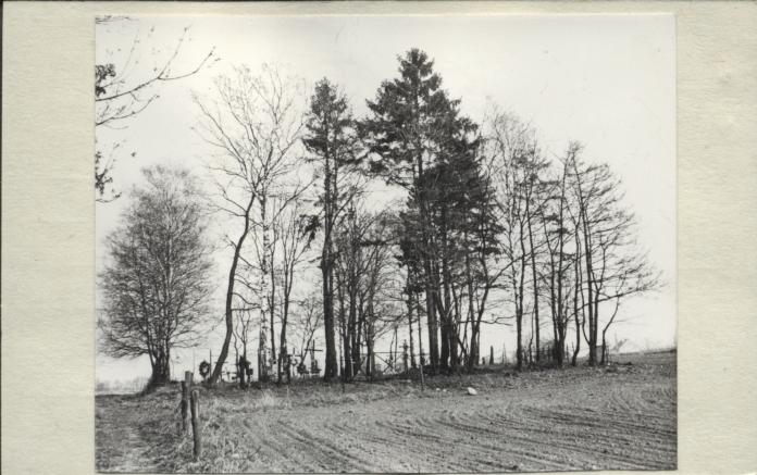 cmentarz ewangelicki, skan 2