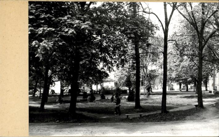 park miejski, skan 2