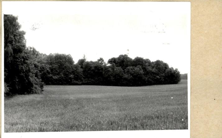 park, skan 2