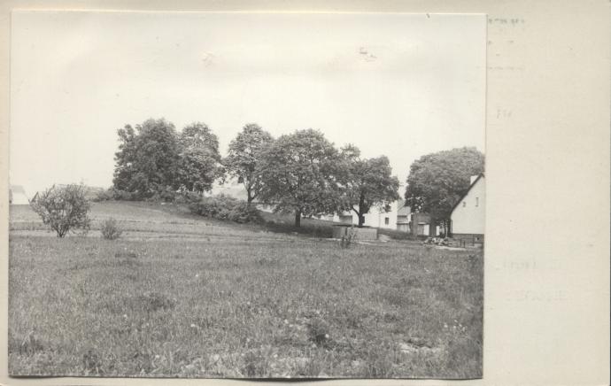 cmentarz żydowski, skan 2
