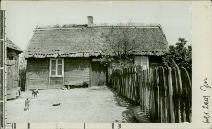 dom, skan 2