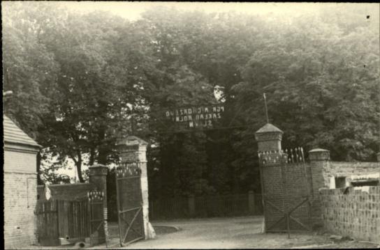 park krajobrazowy ze śladami układu regular., skan 3