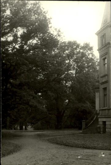 park krajobrazowy, skan 3