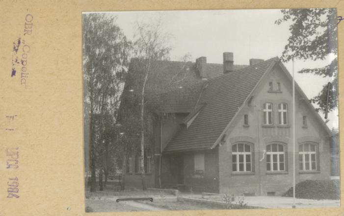 szkoła, skan 2