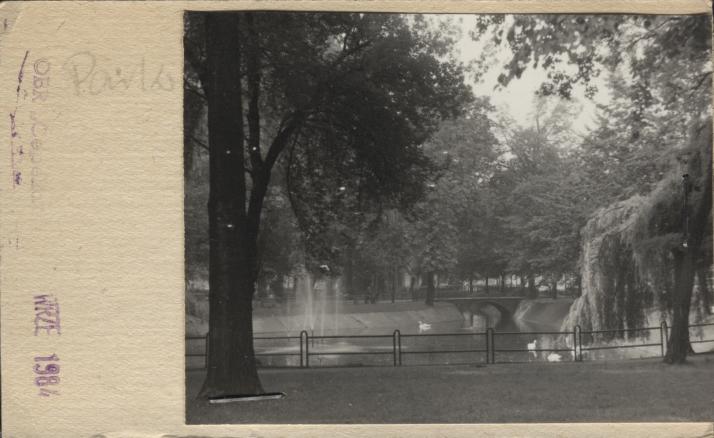 park, skan 2