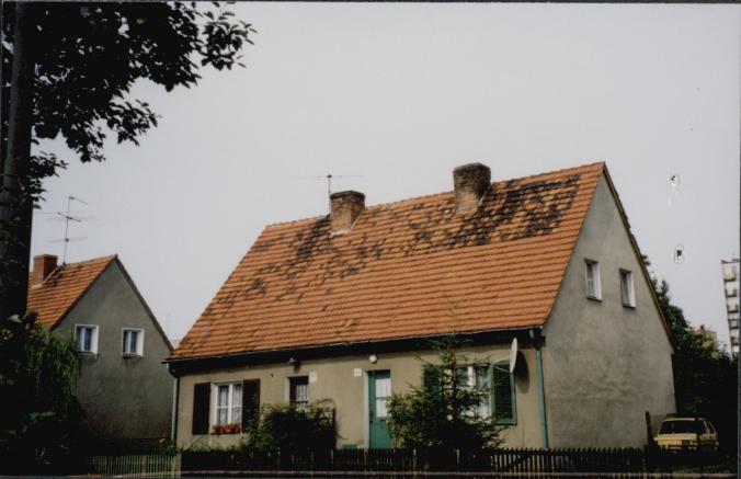 dom, skan 3