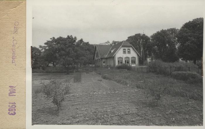 szkoła, skan 2