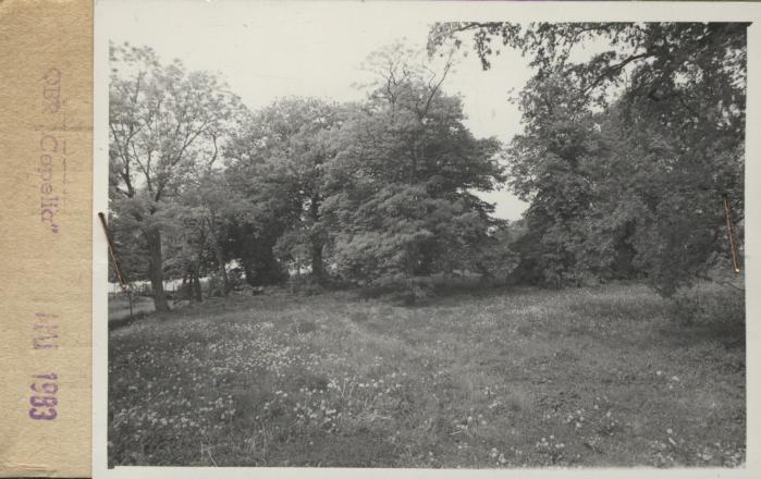 park krajobrazowy, skan 2