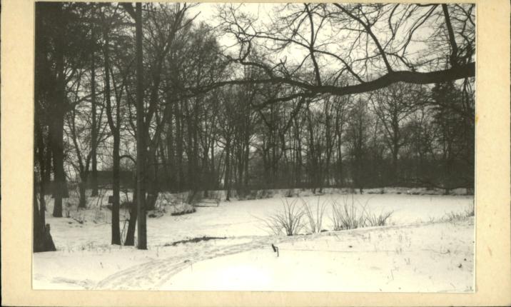 park dworski, skan 2
