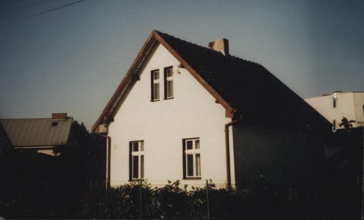 dom, skan 3