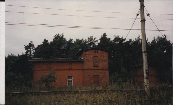 dom, skan 3