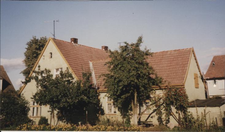 dom, skan 3