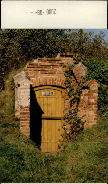 piwnica, skan 2