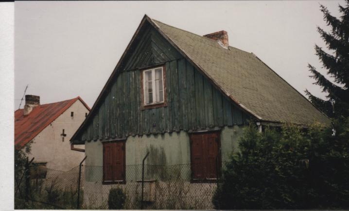 dom, skan 3