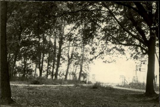 park krajobrazowy, skan 3