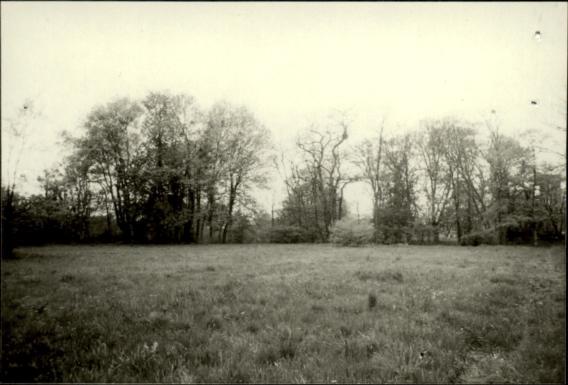 park naturalistyczno-krajobrazowy, skan 2