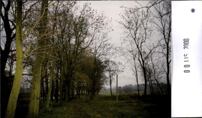 park dworski, skan 2