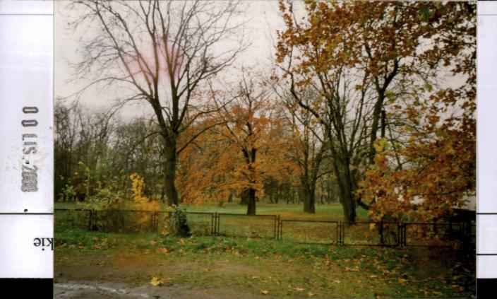 park pałacowy, skan 2
