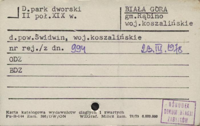 park dworski, skan 1