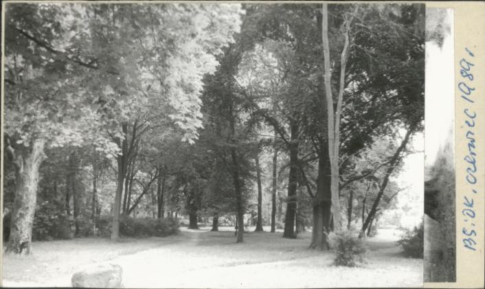 park dworski, skan 2