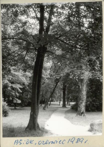 park dworski, skan 3