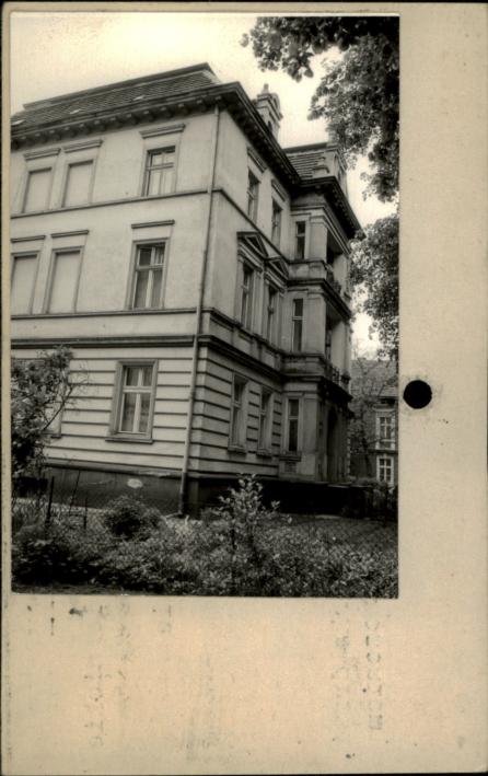 willa, skan 2