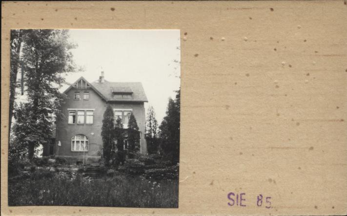 willa, skan 2