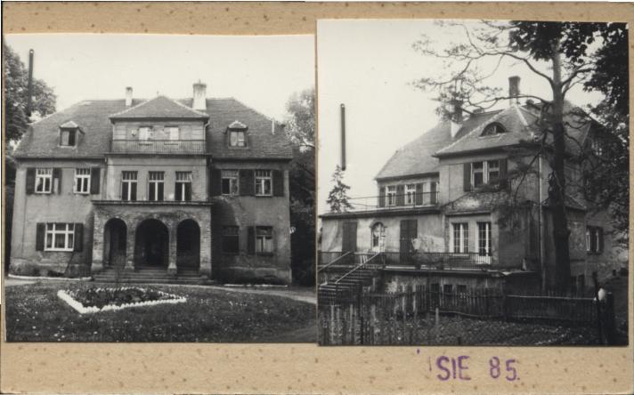 willa, skan 2